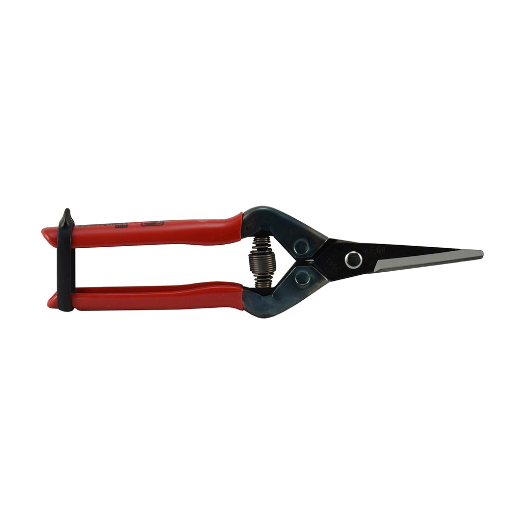 Chikamasa T-55C Picking Snip