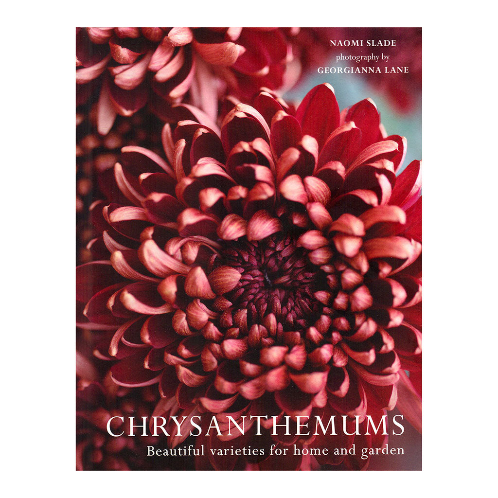 Chrysanthemums