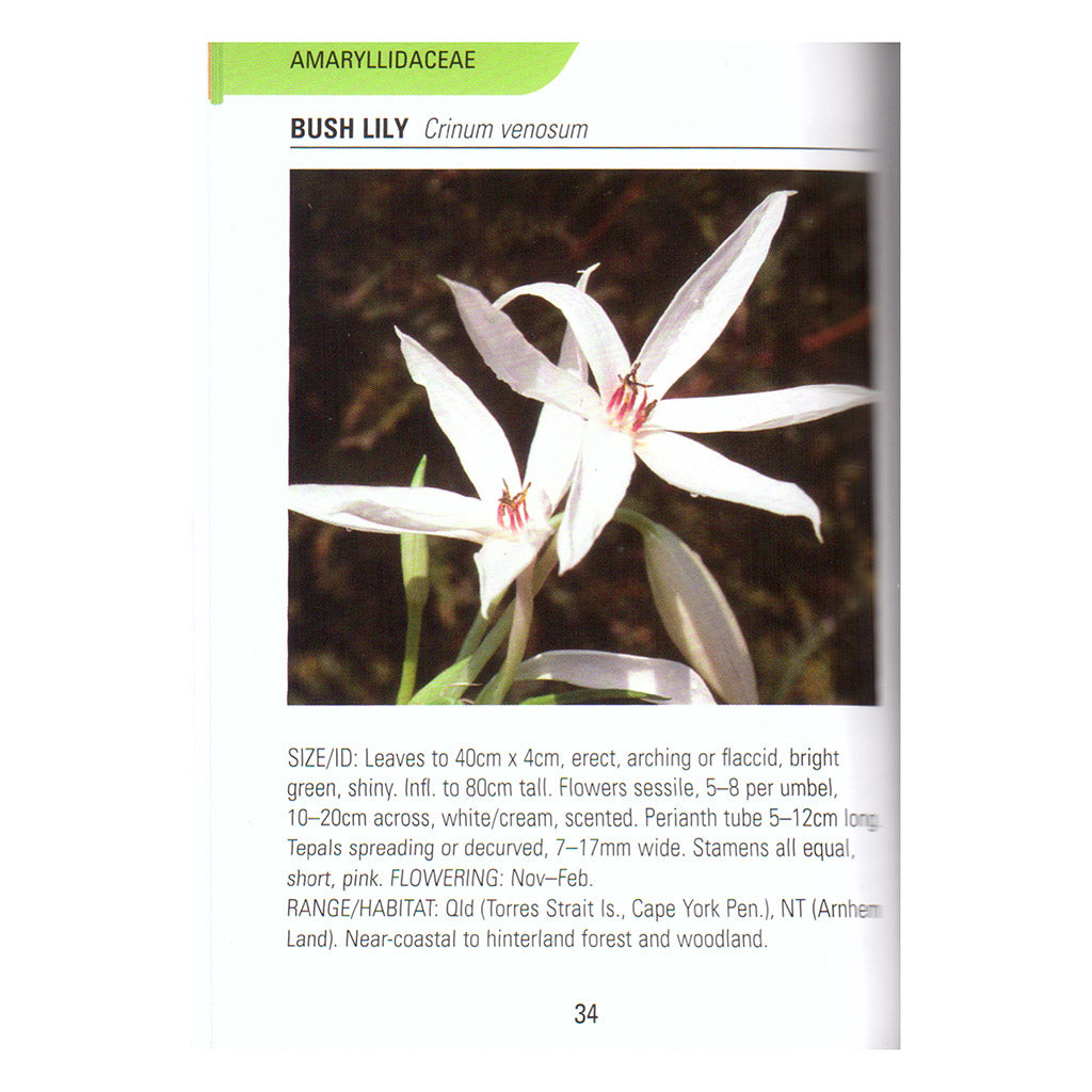 Concise Guide to Lilies Of Australia