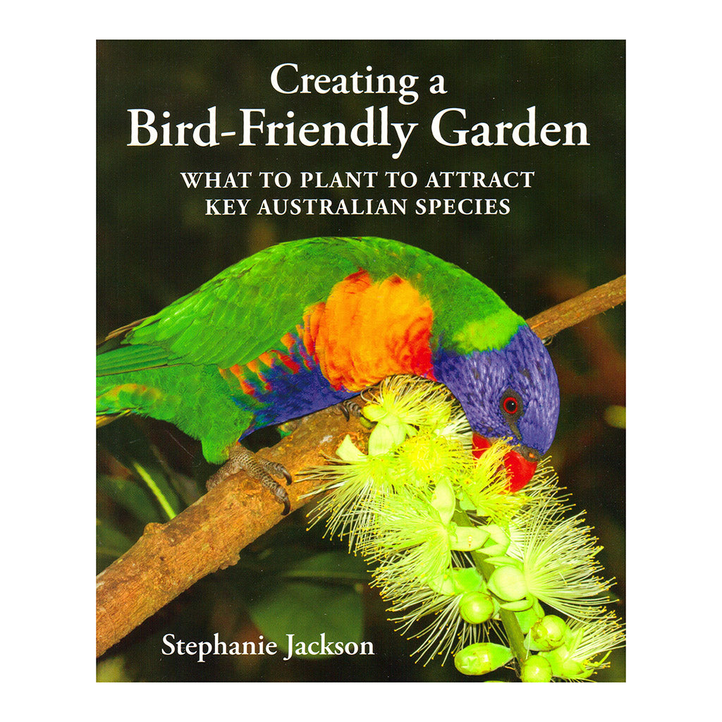 Creating a Bird Friendly Garden