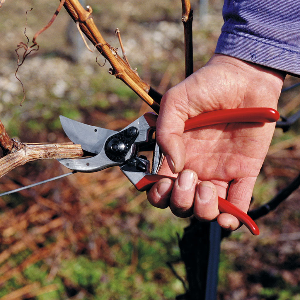 Felco 2 Pruner