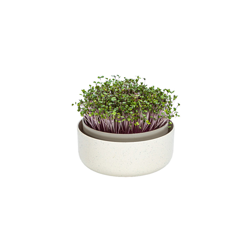 Microgreens Kit