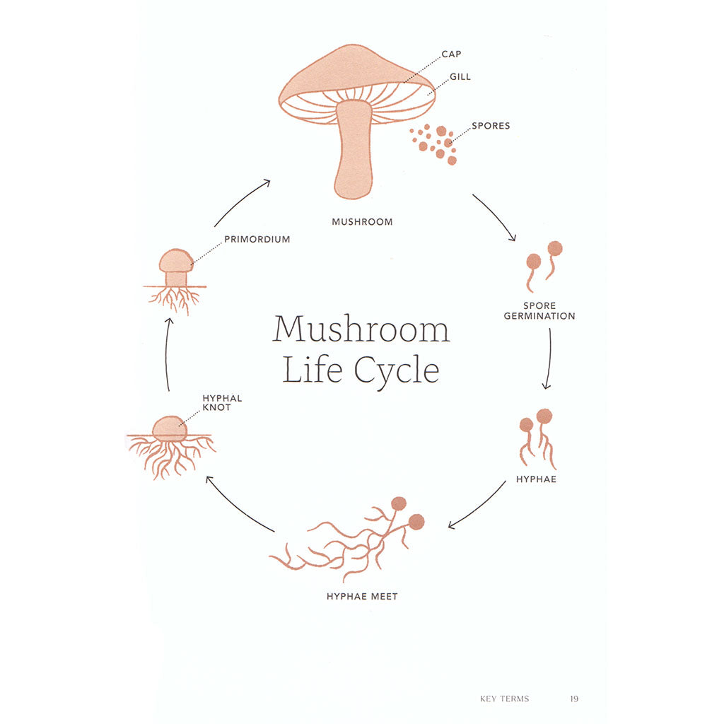 Project Mushroom