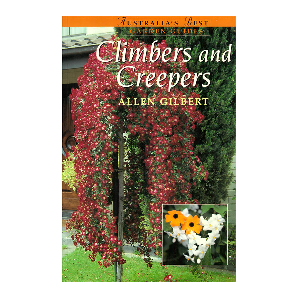What are climbers and creepers?
